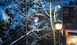 风花雪夜在线观看,浪漫邂逅，情感交织的梦幻之旅