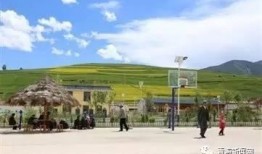 青海农村最新爆料消息今天,揭秘乡村振兴背后的故事