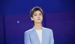 爆料鹿晗姐姐的新闻稿件,揭秘明星背后的故事